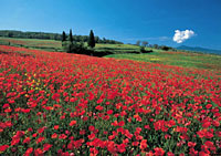 Toscana - Paesaggi