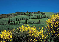 Toscana - Paesaggi